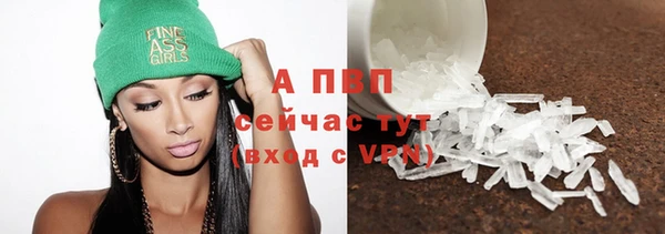 гидра Бородино