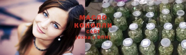 гидра Бородино