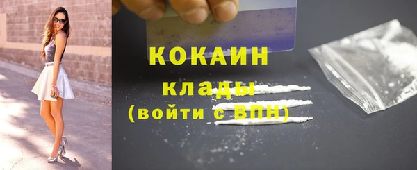 гидра Бородино