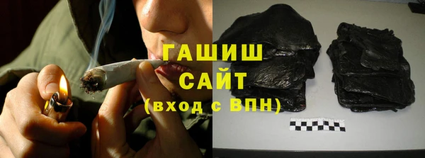 гидра Бородино