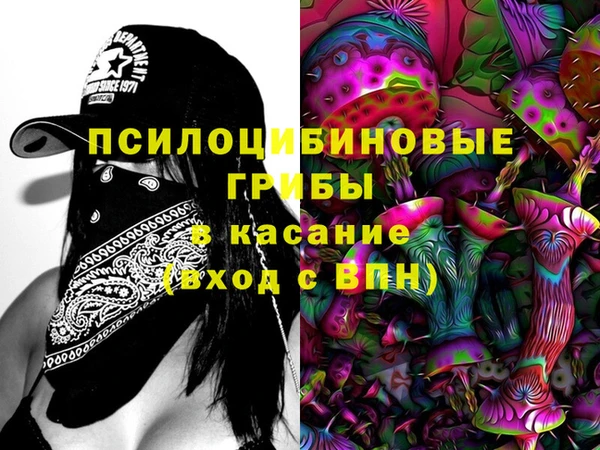 тгк Бронницы