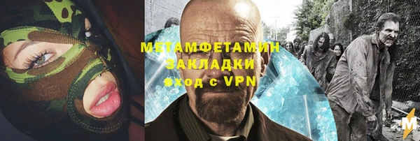 гидра Бородино