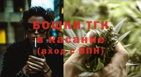 гидра Бородино