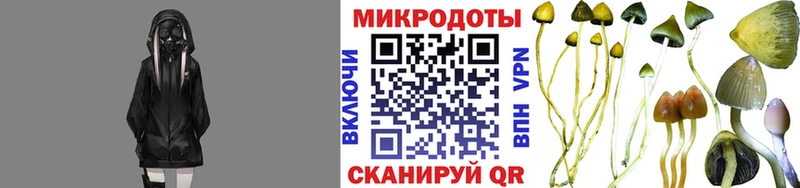 MEGA ссылка Малаховка Псилоцибиновые грибы Psilocybe