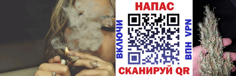 наркошоп  Малаховка  Каннабис план 